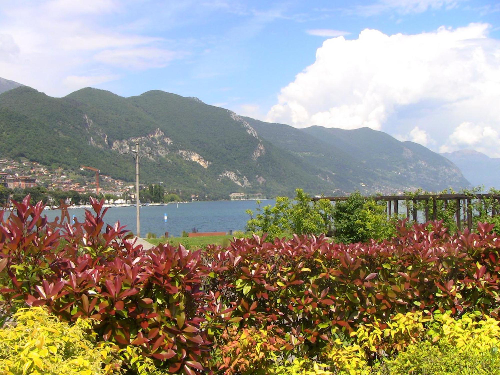 Appartamento Luisa Al Lago D'Iseo Paratico Exterior foto